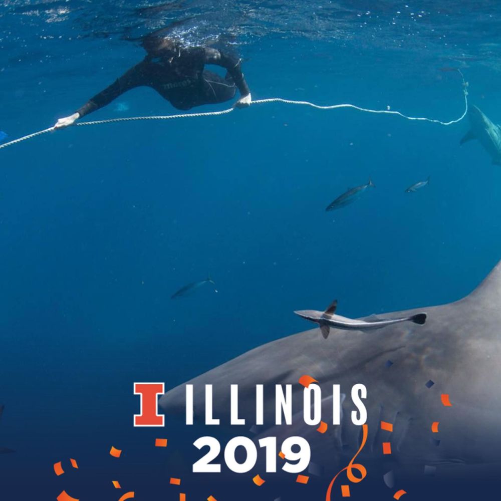 Meet your Posher, Kaitlyn